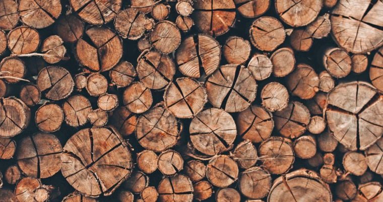 Conheça tipos de madeira e acerte na construção da sua casa 
